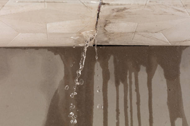 Professional Sewage Cleanup technician working in American Fork, UT